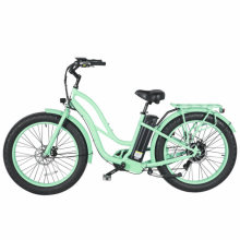China Factory Price Best-Selling Cheap Muse 500W Electric Bike